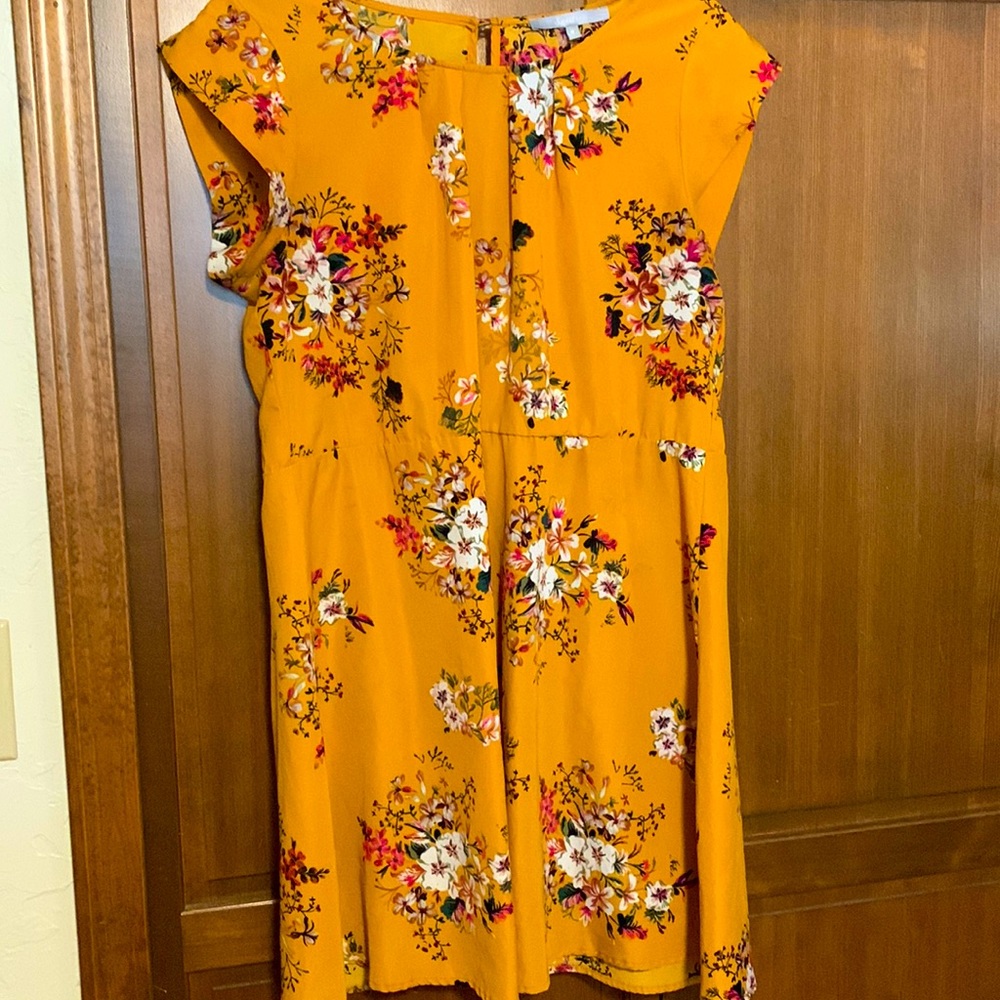 Cute Dress Lightly Worn